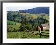 Rural Countryside, Sacele, Brasov, Romania, by Diana Mayfield Limited Edition Pricing Art Print