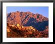 Hilltop Village Bathed In Afternoon Sunlight, Corsica, France by David Tomlinson Limited Edition Print