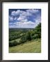 View From The North Downs Near Dorking, Surrey, England, United Kingdom by John Miller Limited Edition Print