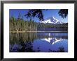 Mt. Hood Reflected In Frog Lake, Oregon, Usa by Janis Miglavs Limited Edition Print