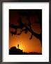 Hiker In Silhouette In The Joshua Tree National Park, California, Usa by Cheyenne Rouse Limited Edition Pricing Art Print
