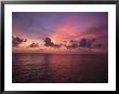Sunset Over The Gulf Of Mexico by Paul Damien Limited Edition Print