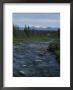 Mountain Stream With Cabin In Evergreen Forest In Distance by Rich Reid Limited Edition Pricing Art Print