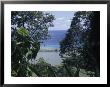 Jungle View Of Pacific Ocean, Carate, Costa Rica by Jeff Randall Limited Edition Print