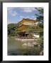 Gold Pavilion, Kinkakuji, Kyoto, Japan by Michele Burgess Limited Edition Pricing Art Print
