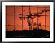 Reflection Of Crane On Window, Calgary, Canada by Rick Rudnicki Limited Edition Print