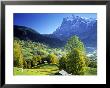 Grindelwald, Berner Oberland, Switzerland by Peter Adams Limited Edition Print