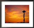 The Space Needle, Seattle, Washington, Usa by Lawrence Worcester Limited Edition Print