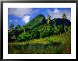 Palm Trees And Dense Jungle Peaks, Rarotonga, Southern Group, Cook Islands by Peter Hendrie Limited Edition Print