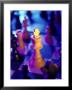 Chess Piece Highlighted On Chessboard by David Petty Limited Edition Print