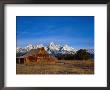 Shanes Barn, Grand Teton National Park, Wy by Elizabeth Delaney Limited Edition Print
