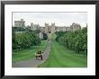The Long Walk And Windsor Castle, Windsor, Berkshire, England, United Kingdom by Adam Woolfitt Limited Edition Print