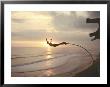 Bungee Jumping, Bali, Indonesia by Jacob Halaska Limited Edition Print