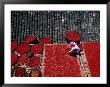 Zhuang Girl Drying Red Peppers On The Roof Of Her House, Long Ji, China by Keren Su Limited Edition Print