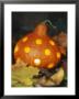 Hollowed Out Pumpkin With Holes And Light Inside by Alena Hrbkova Limited Edition Print