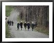 Amish People Visiting Middle Creek Wildlife Management Area A 5,000 Acre Preserve Started In 1966 by Ira Block Limited Edition Print