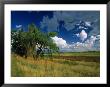 Eastern Highlands, South Africa by Walter Bibikow Limited Edition Print