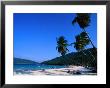 Palm Trees On Long Beach, Pulau Perhentian Kecil, Malaysia by Anders Blomqvist Limited Edition Print