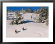 Two Hikers Snowshoeing In Fresh Powder by Rich Reid Limited Edition Print