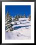 A Hiker Snowshoeing Along A Trail In Fresh Powder by Rich Reid Limited Edition Print