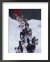 Dog Sled Racing In The 1991 Iditarod Sled Race, Alaska, Usa by Paul Souders Limited Edition Print