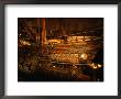 17Th Century Warship, Vasa, Stockholm, Sweden by Jon Davison Limited Edition Pricing Art Print