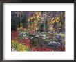Wenatchee River And Fall Color, Tumwater Canyon, Washington, Usa by Jamie & Judy Wild Limited Edition Print