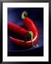 Chillies, Long Red Variety by Karl Newedel Limited Edition Pricing Art Print