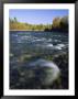 Scenic View Of The Adams River by Paul Nicklen Limited Edition Print
