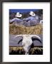 Cowboys, Madrid, New Mexico, Usa by Judith Haden Limited Edition Print