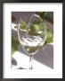 Glass Of White Wine, Chateau Belgrave, Haut-Medoc, Grand Crus Classee, France by Per Karlsson Limited Edition Print
