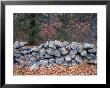 Stone Wall Next To Sheepboro Road, New Hampshire, Usa by Jerry & Marcy Monkman Limited Edition Print