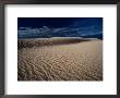 Sand Dune, Mungo National Park, New South Wales, Australia by Richard I'anson Limited Edition Print