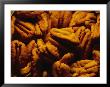 Close View Of Shelled Pecans In Warm Light by Brian Gordon Green Limited Edition Print