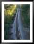 Railroad Tracks Cut Through The Kansas City Zoo by Joel Sartore Limited Edition Print