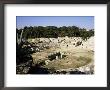 Roman Amphitheatre, Syracuse, Sicily, Italy by Michael Jenner Limited Edition Print