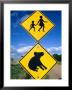 Children Crossing And Koala Crossing Signs On Dirt Road, Wonthaggi, Australia by Richard Nebesky Limited Edition Print