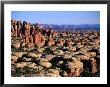 Elephant Canyon And The Needles Rock Formations, Canyonlands National Park, Usa by John Elk Iii Limited Edition Print