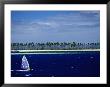 Windsurfer, Plantation Island, Fiji by Peter Hendrie Limited Edition Print