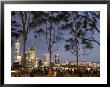 People In Kings Park Watching Fireworks On Australia Day With Perth Skyline In Background by Orien Harvey Limited Edition Pricing Art Print