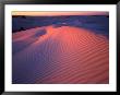 Sand Dunes, Nambung National Park, Western Australia, Australia by Rob Blakers Limited Edition Print
