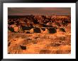 Little Painted Desert County Park, Arizona, Usa by Mark Newman Limited Edition Print