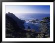 Highway 1, Northern California Coast by Tom Stillo Limited Edition Print