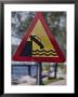 Traffic Sign Warning Drivers To Avoid The Side Of The Road by Thomas J. Abercrombie Limited Edition Print