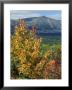 Mt. Katahdin, Appalachian Trail, Maine, Usa by Jerry & Marcy Monkman Limited Edition Print