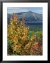 Mt. Katahdin, Appalachian Trail, Maine, Usa by Jerry & Marcy Monkman Limited Edition Print