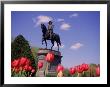 George Washington Statue, Boston Public Gardens by Kurt Freundlinger Limited Edition Print