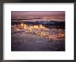 Sunset Over Ruins Of Ancient City Of 17Th Century Arab Castle, Qala'at Ibn Maan, Syria by Tony Wheeler Limited Edition Print