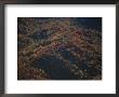 Aerial View Of The Great Smoky Mountains With Autumn Foliage by Randy Olson Limited Edition Pricing Art Print