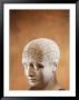 Physiognomic Bust by Chuck Carlton Limited Edition Print